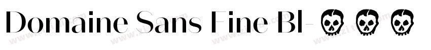 Domaine Sans Fine Bl字体转换